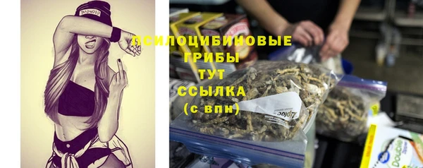 винт Алексин