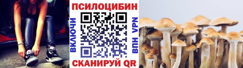 Псилоцибиновые грибы мицелий  где найти наркотики  Краснокамск 